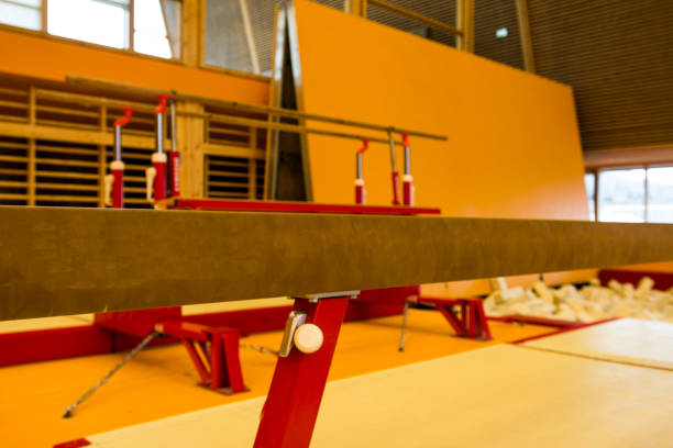 istock Gymnastic equipment in a gymnastic center 960812522