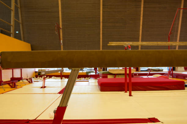 istock Gymnastic equipment in a gymnastic center 960812646