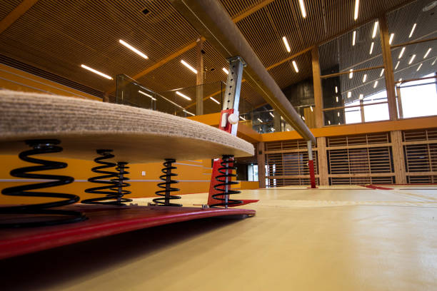 istock Gymnastic equipment in a gymnastic center 960816140