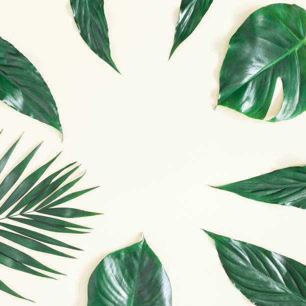 istock Tropical palm leaves on yellow background. Flat lay, top view 960818228