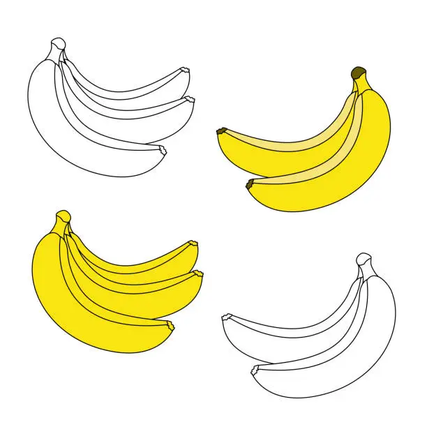 Vector illustration of A bunch of three bananas and a bunch of two bananas isolated on a white background.