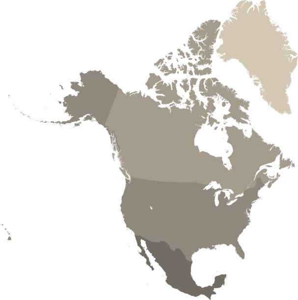 illustrazioni stock, clip art, cartoni animati e icone di tendenza di struttura vettoriale mappa nord america con bordi paesi in sfondo grigio. mappa accurata altamente dettagliata dei paesi nordamericani tra cui stati uniti, canada e messico - north american