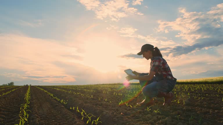 Young teenage girl farmer with digital tablet checking saplings in sunny,rural field,slow motion