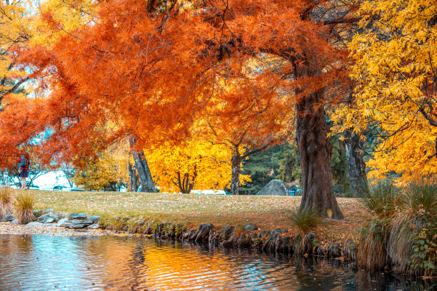 istock Queenstown autumn color 960847186