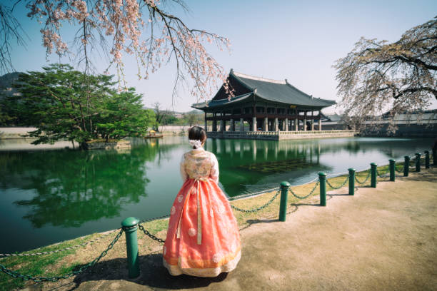 giovane viaggiatrice asiatica in abito nazionale coreano o hanbok che viaggia nel palazzo gyeongbokgung con fiori di ciliegio o chiama sakura in primavera con cielo blu e nuvole nella città di seoul, in corea del sud. - korean culture foto e immagini stock