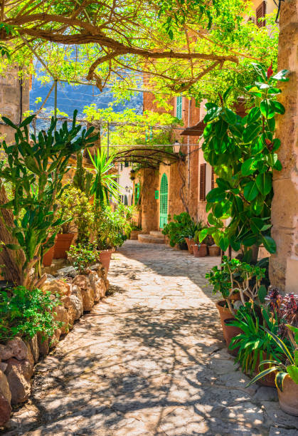 istock Beautiful mediterranean garden with path to rustic stone house 960851116