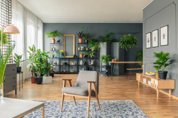 istock Botanic, spacious living room interior 960852728