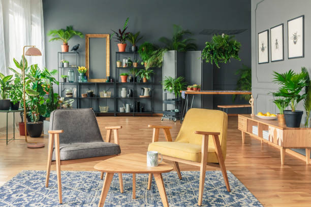 istock Two chairs next to a table on a patterned rug in botanic room interior with plants on the black shelves at the end 960852736