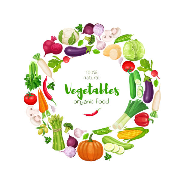 Round frame with vector vegetables Round frame with vector vegetables. Concept healthy food. Cabbage, pepper, beets, or carrots. Onion, zucchini, eggplant and asparagus. Corn, celery, mushrooms or daikon et al. chili pepper border stock illustrations