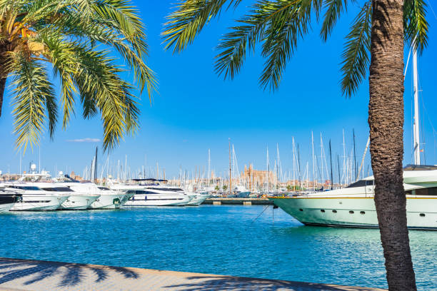 marina de palma de maiorca, ilhas baleares espanha mar mediterrâneo - majorca yacht marina palma - fotografias e filmes do acervo