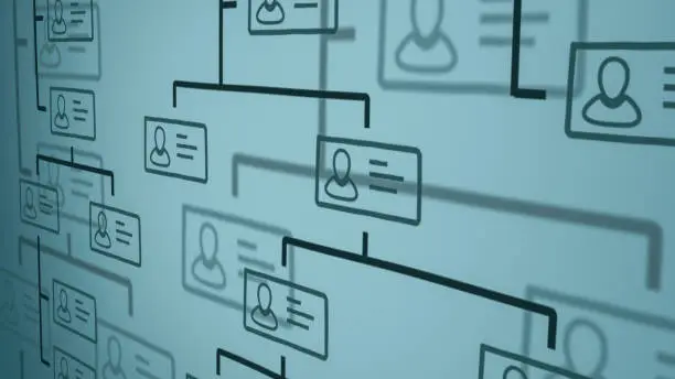 close up view of a company organization chart on a whiteboard. hand drawn style