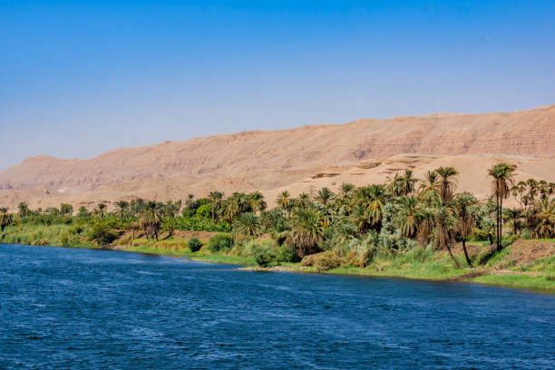 River Nile in Egypt. Life on the River Nile River Nile in Egypt. Life on the River Nile nile river stock pictures, royalty-free photos & images