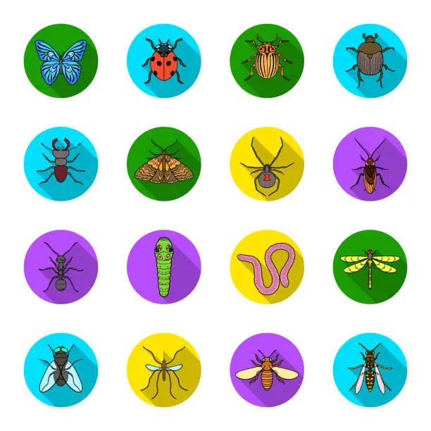 Vector illustration of Different kinds of insects flat icons in set collection for design. Insect arthropod vector symbol stock web illustration.
