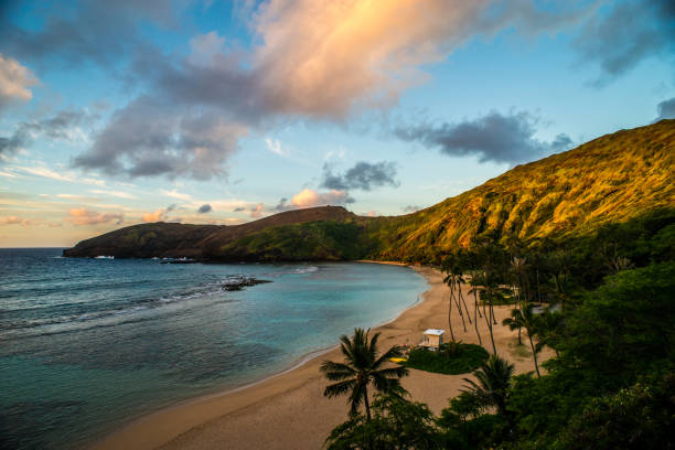 hanauma bay ao nascer do sol - hanauma bay hawaii islands oahu bay - fotografias e filmes do acervo