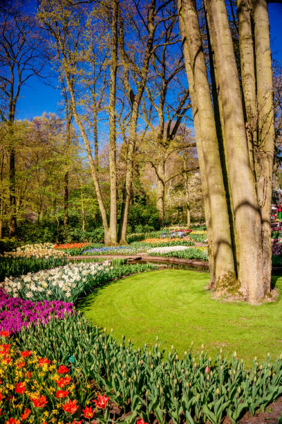 istock Beautiful  park. Landscaped Formal Garden 960858464