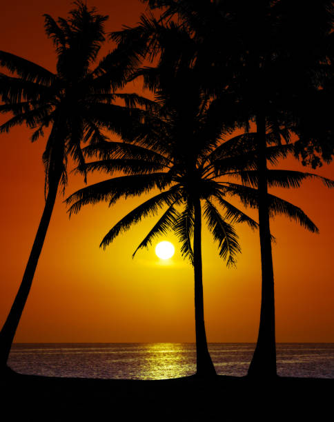 istock sunset landscape. beach sunset. sunset on the beach 960865552