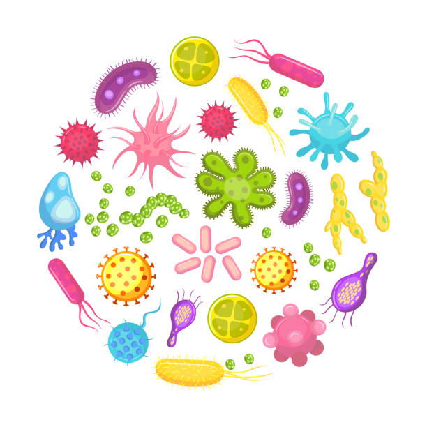 mikroorganismen, bakterien, viren-zelle, krankheit bakterium und pilze zellen. mikroorganismen, die krankheiten und viren cartoon vektor-icons - bacterium virus micro organism microscope stock-grafiken, -clipart, -cartoons und -symbole