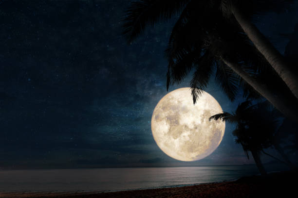 istock seascape with full moon night scene 960876170