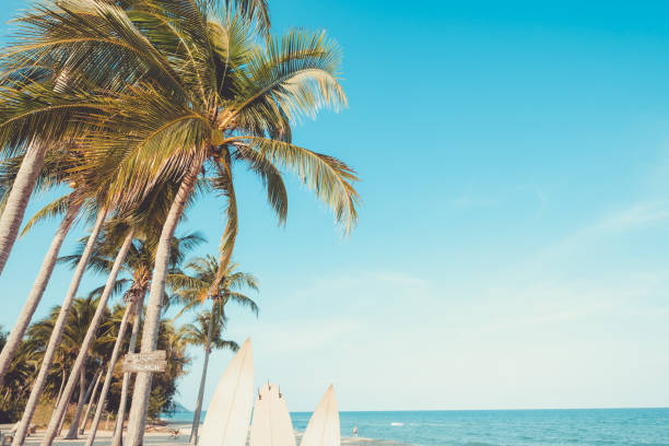 istock Vintage beach sign with surf 960879640