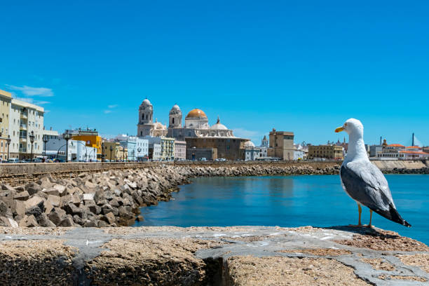 istock Seaside of Cadiz ( Spain ) 960879850