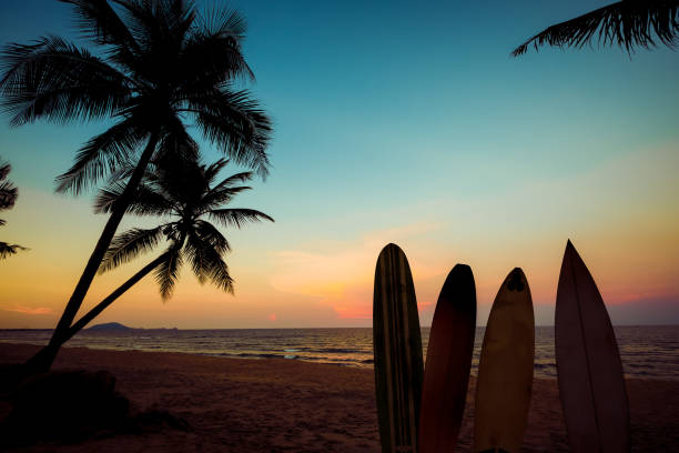 istock surfboard on tropical beach at sunse 960880006