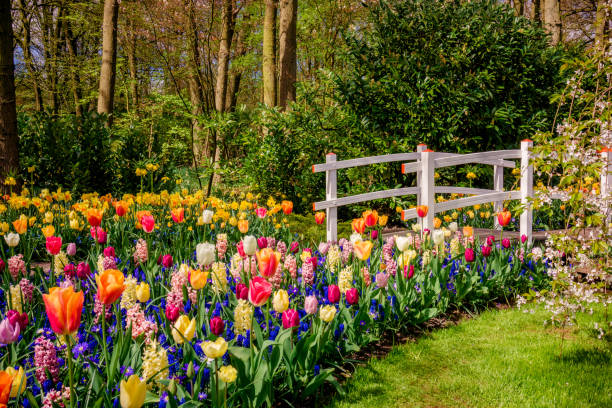 istock Beautiful garden. Park in The Spring. Spring landscape 960880236