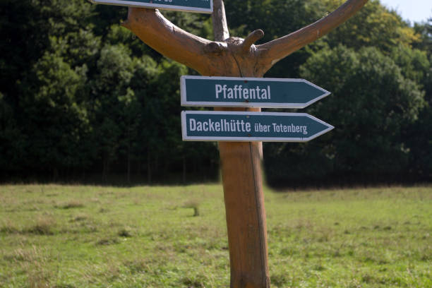 istock On the road at the Rennsteig 960880404