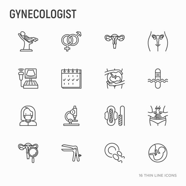 ilustrações, clipart, desenhos animados e ícones de conjunto de ícones de linha fina de ginecologista: útero, ovários, cadeira ginecológica, gravidez, ultra-som, modess, teste, embrião, menstruação, ovulação, expansor vaginal. ilustração em vetor moderno. - tampon menstruation sanitary female