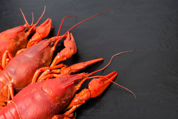 istock Red boiled crayfish on stone slate dark background. 960885698