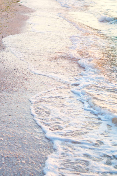 istock sea surf on the beach 960891406