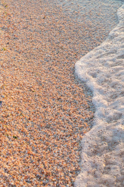 istock sea surf on the beach of small shells 960891520