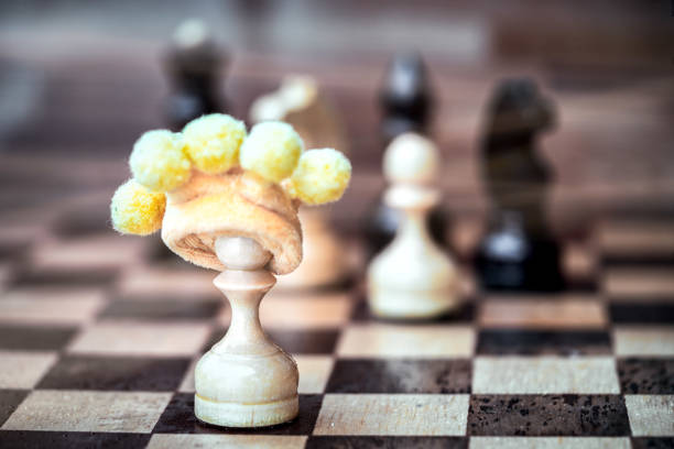 en passant de pion. pion blanc dans la couronne jaune douce contre d’autres échecs des chiffres sur l’échiquier. des pions aux reines. direction d’entreprise, confiance en soi, réussite, vous faire confiance concept. - chess leisure games chess queen skill photos et images de collection