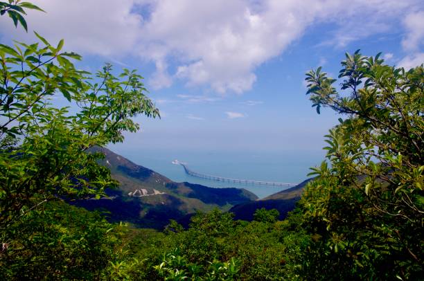 istock Hong Kong–Zhuhai–Macau Bridge from Ngong Ping Trail 960897882