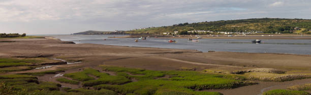 St Dogmaels, Pembrokeshire St Dogmaels, Pembrokeshire, Wales  on the estuary of the River Teifi teifi river stock pictures, royalty-free photos & images