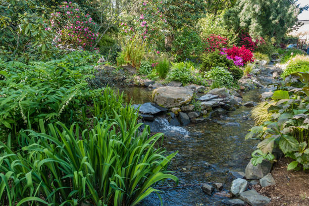 istock Creek And Garden Landscape 8 960914050