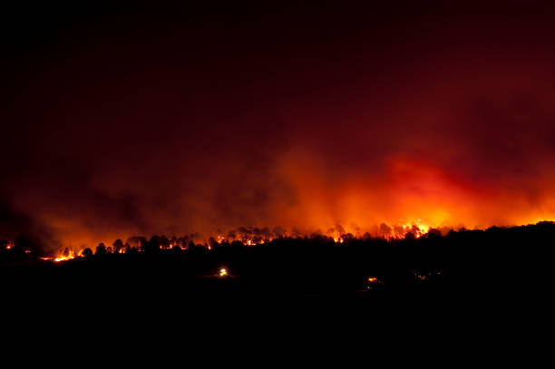 istock Forest fire, Pinus pinaster, Guadalajara (Spain) 960917348