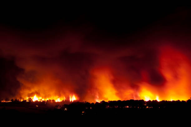 istock Forest fire, Pinus pinaster, Guadalajara (Spain) 960917360