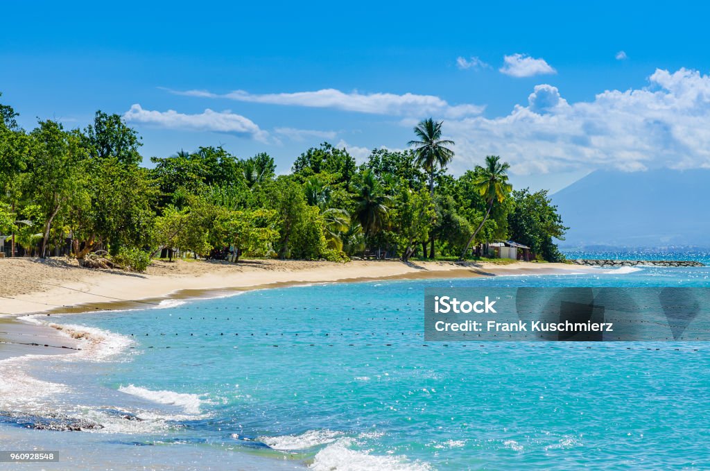 Wonderful golden beach on Grande-Terre, Guadeloupe, Wonderful golden beach on Grande-Terre, Guadeloupe, French Antilles, Caribbean Guadeloupe Stock Photo