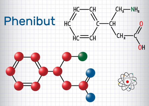 Phenibut is a central nervous system depressant with anxiolytic and sedative effects. Structural chemical formula and molecule model. Sheet of paper in a cage Phenibut is a central nervous system depressant with anxiolytic and sedative effects. Structural chemical formula and molecule model. Sheet of paper in a cage. Vector illustration nootropic stock illustrations