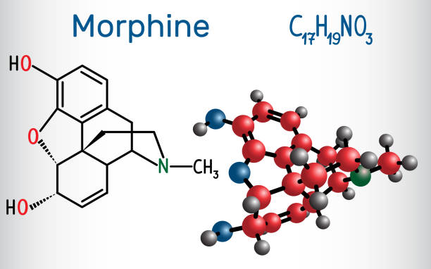 illustrations, cliparts, dessins animés et icônes de molécule de morphine. c’est un analgésique de l’opium. modèle structurel de formule et de la molécule chimique - morpheus