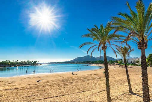 Isla de Mallorca, arena de la playa Platja de Alcudia con palmeras, mar Mediterráneo de España photo