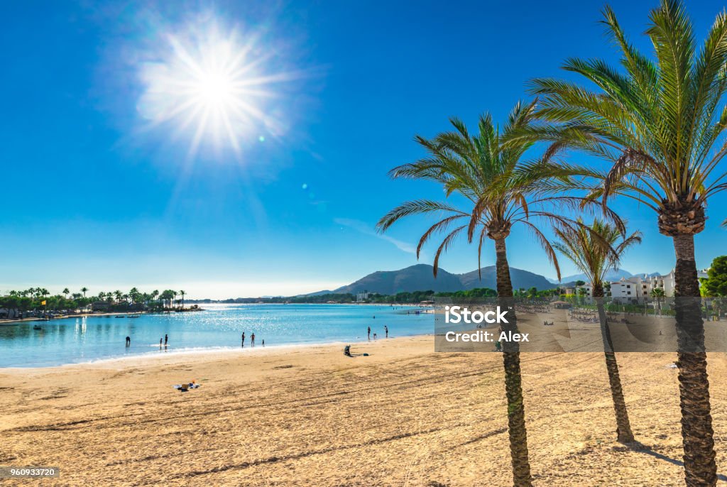 L’île de Majorque, sable plage Platja de Alcudia avec palmiers, mer Méditerranée Espagne - Photo de Majorque libre de droits