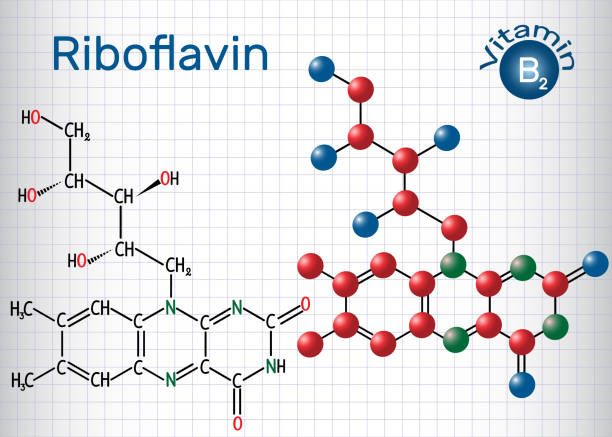 riboflavin (vitamin b2), ist in der nahrung und als nahrungsergänzungsmittel verwendet.  chemische formel und molekül strukturmodell. blatt papier in einem käfig - flavian stock-grafiken, -clipart, -cartoons und -symbole