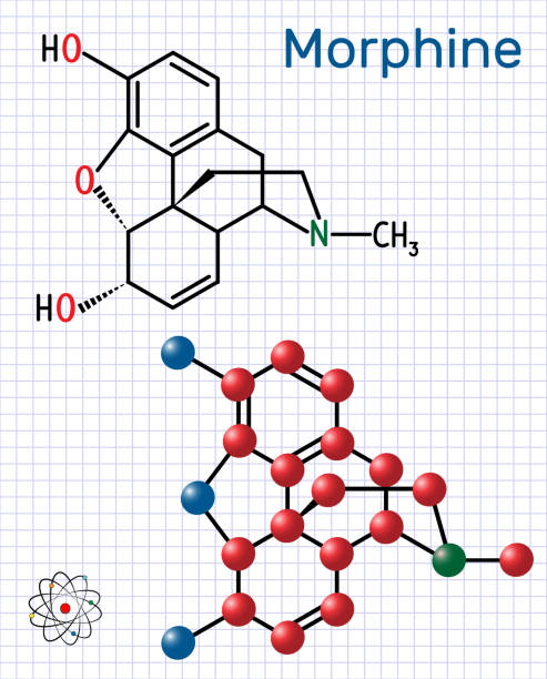 illustrations, cliparts, dessins animés et icônes de molécule de morphine. c’est un analgésique de l’opium. modèle formule et molécule chimique structurale. feuille de papier dans une cage - hydrocodone
