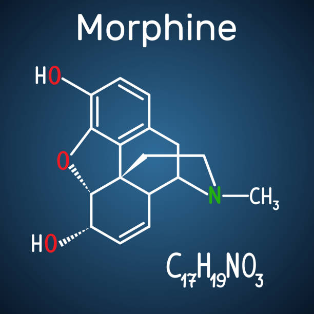 illustrations, cliparts, dessins animés et icônes de molécule de morphine. c’est un analgésique de l’opium. la formule chimique structurale et molécule modèle sur le fond bleu foncé - morpheus