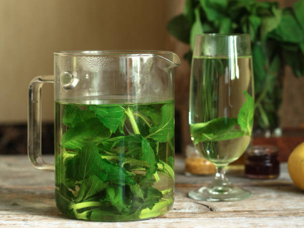 istock mint drink (lemonade) - fresh herbs - useful cuisine.  Food background 960937798