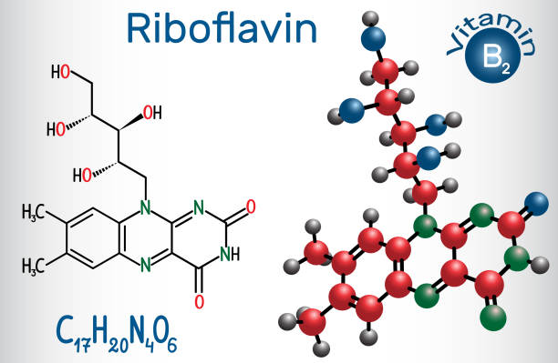 riboflavin (vitamin b2), ist in der nahrung und als nahrungsergänzungsmittel verwendet.  chemische formel und molekül strukturmodell - flavian stock-grafiken, -clipart, -cartoons und -symbole