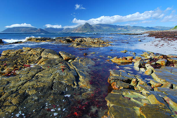 istock Kommetjie rocks Cape Town 96093841