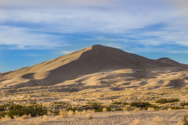 istock Desert Sand Dunes and Cactus Landscape 960955190
