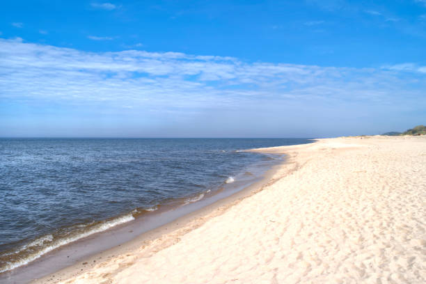 istock Coast of the Baltic Sea 960955450